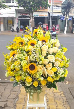 Shop Hoa Tươi Thị trấn Đắk Mâm, Krông Nô, Đắk Nông