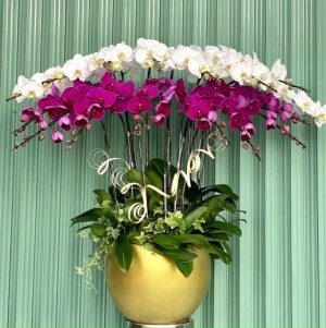 Shop Hoa Tươi Thị trấn Kiến Đức, Đắk R'Lấp, Đắk Nông